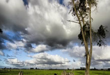 曼城大破对手，英超领头羊实力无人匹敌