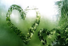 国际米兰主场战胜桑普多利亚，稳固前四