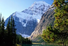 沙尔克下定决心，争取主场胜利