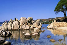 精湛技巧，強勁體能，球場風起雲湧，熱血激昂！