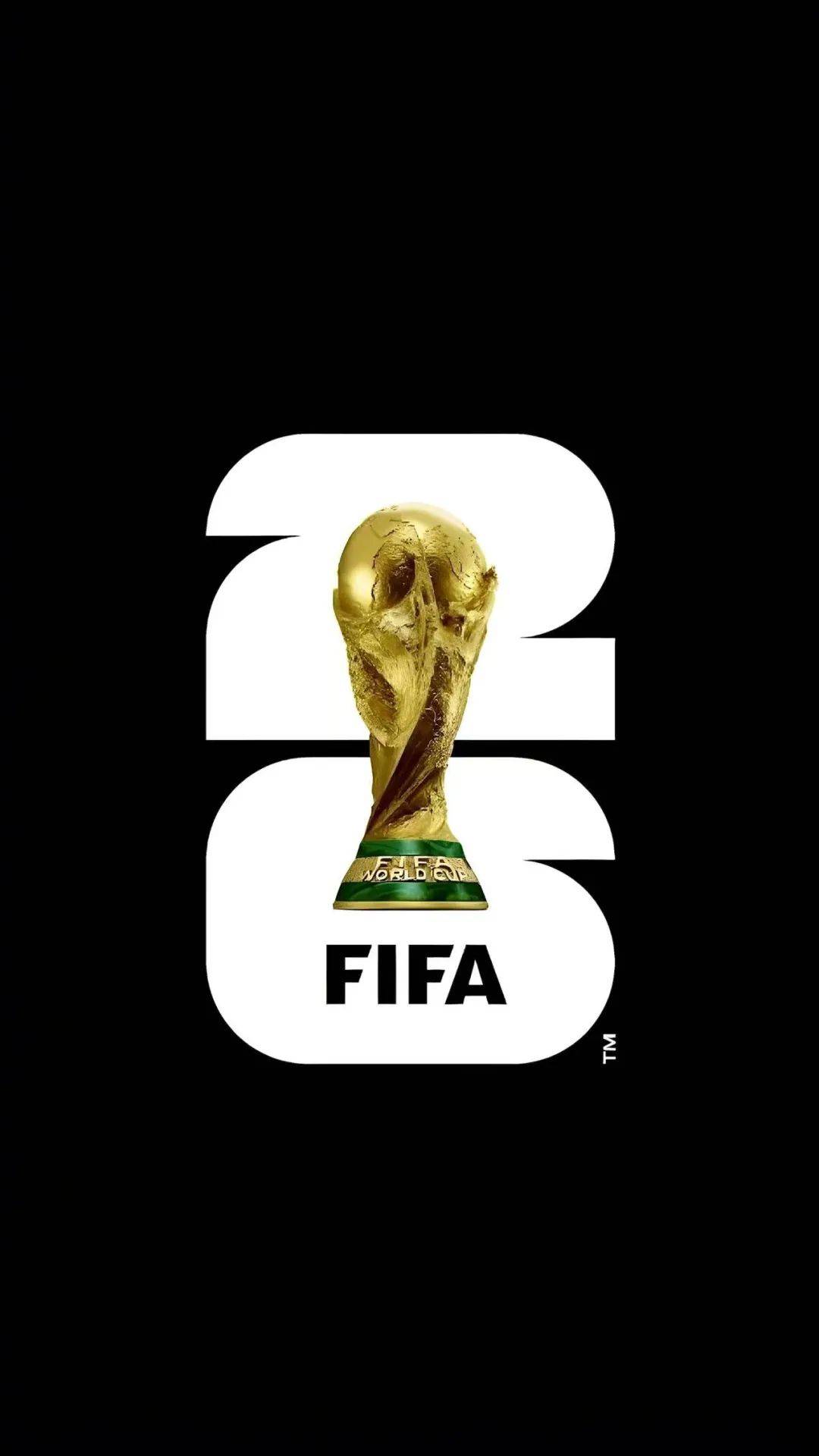 开云体育在线-欧预赛：奥地利球员技术造诣惊艳，赢得掌声的简单介绍