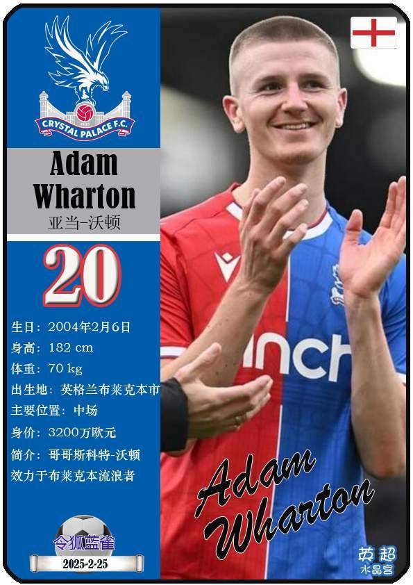 包含水晶宫主教练赞誉球队表现，信心满满！的词条