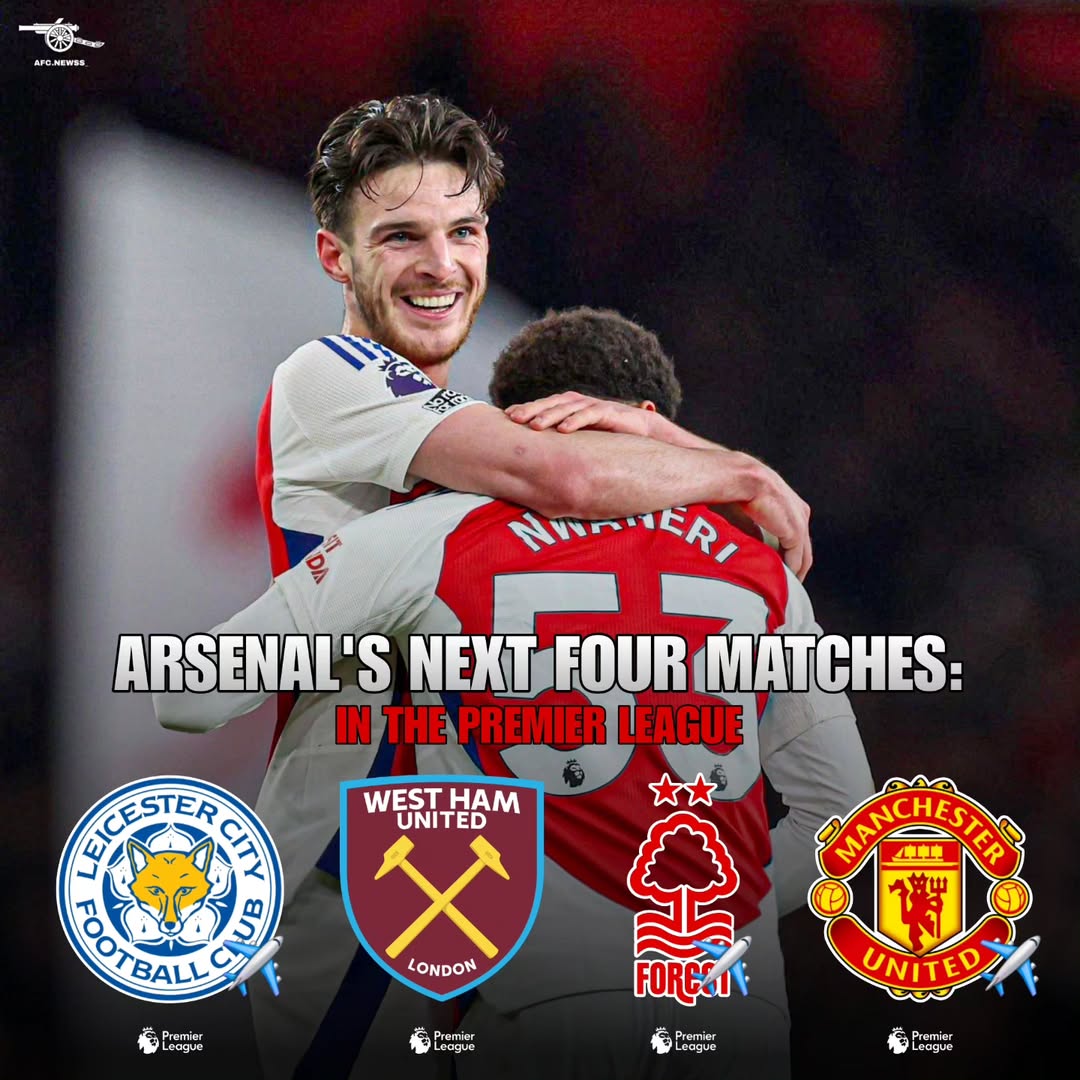 开云体育入口-阿森纳苦战告捷,英超夺冠成熟又温馨的简单介绍