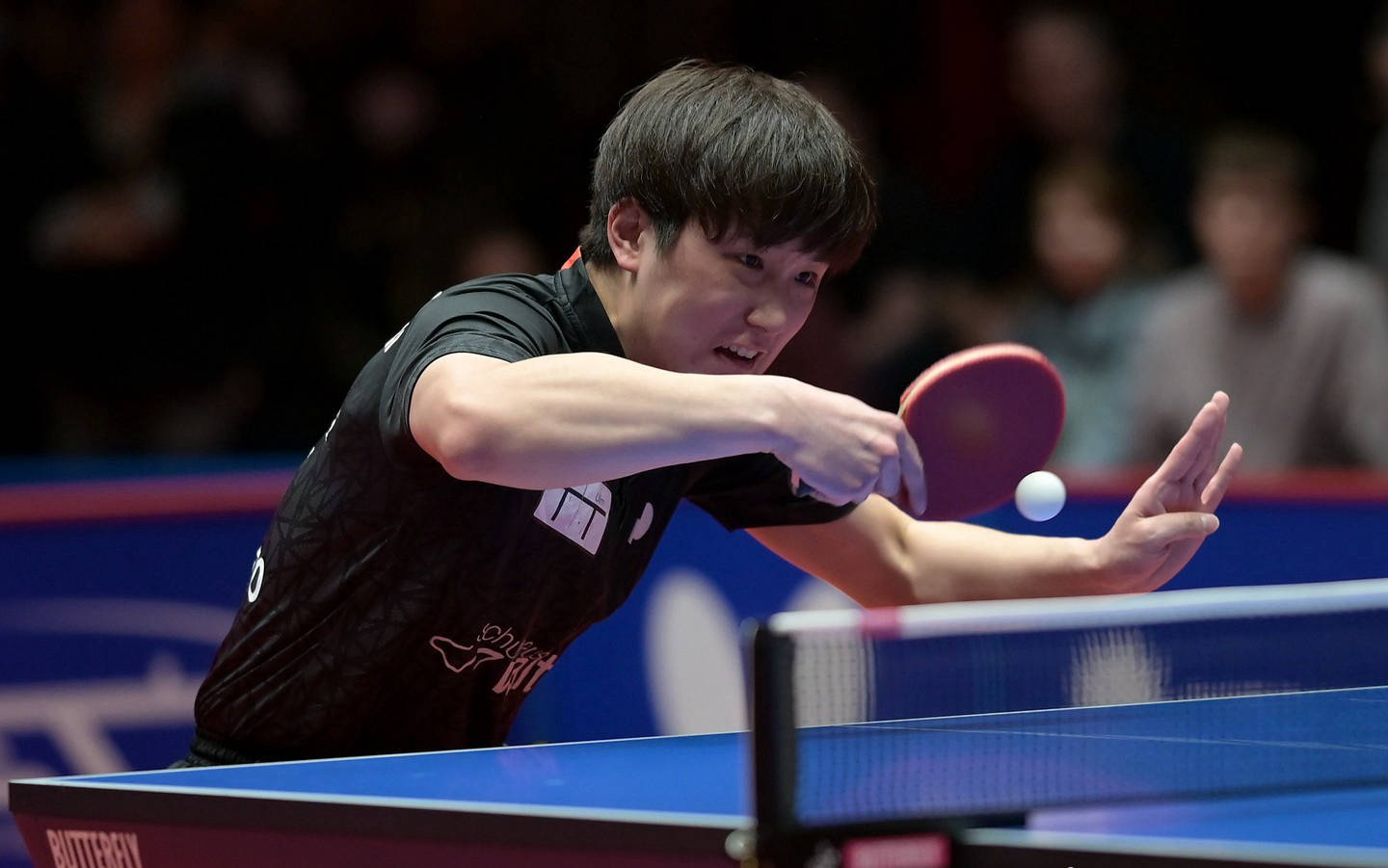 包含沈阳东亚球迷狂欢,球队实力不俗的词条 包含沈阳东亚球迷狂欢,球队实力不俗的词条